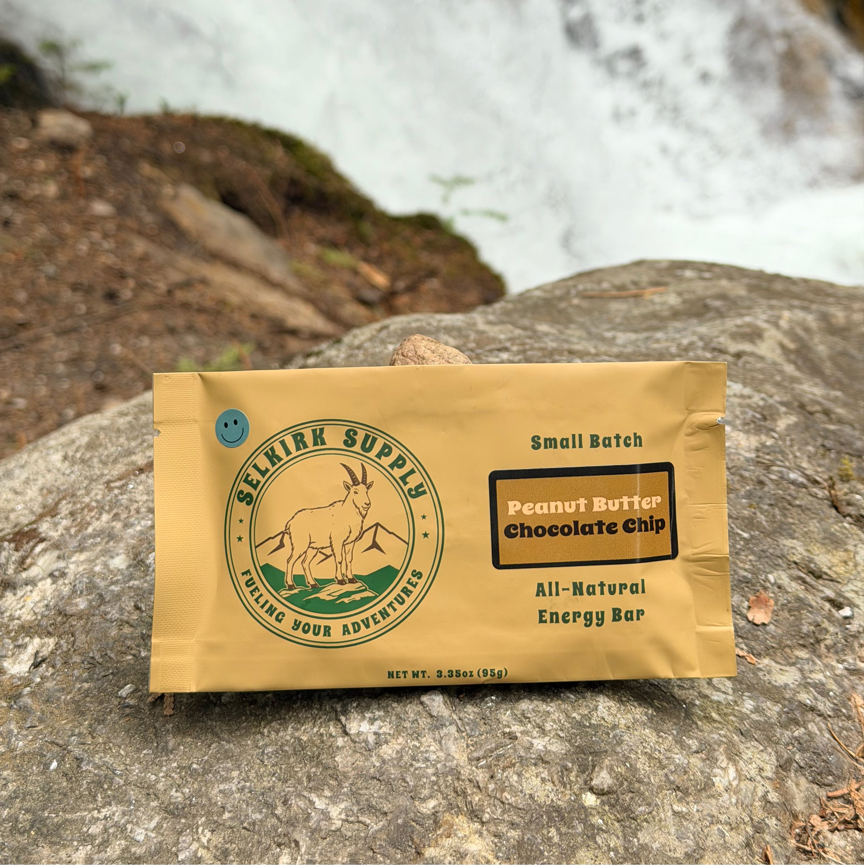 Peanut Butter Chocolate Chip (12 Bar Pack)